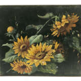 Fotoalbum der Familie Schaller/Stuttgart um 1898, Album mit ca. 450 Fo… - photo 1