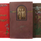 Sammlung Postkarten 634 Stück in drei sauberen Alben, 2 x mit Jugendst… - photo 1