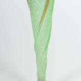 Schlanke Vase ''Branches de feuilles et fruits'' Legras & Cie, Verreri… - фото 2