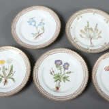 8 Brotteller mit Dekor ''Flora Danica'' Royal Copenhagen, Dänemark, 19… - Foto 2