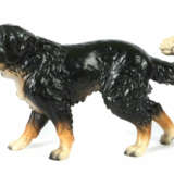 Berner Sennenhund Göbel Porzellanmanufakur, Ende 20. Jh., farbecht gla… - photo 1