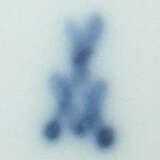 Biedermeiertasse und Untere mit Blumenmalerei Meissen, um 1820, Porzel… - photo 2