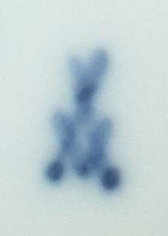 Biedermeiertasse und Untere mit Blumenmalerei Meissen, um 1820, Porzel… - photo 2 Biedermeiertasse und Untere mit Blumenmalerei Meissen, um 1820, Porzel… - photo 2