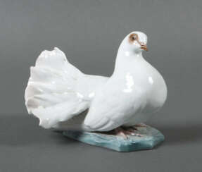 Brieftaube Rosentahl, Classic Rose Collection, E: Fritz Heidenreich, 1…