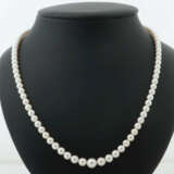 Perlenkette modern, Perlenkette im Verlauf zur Größe hin ansteigend, V… - photo 1