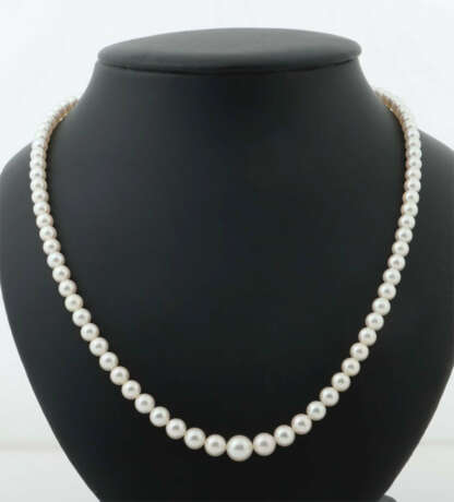 Perlenkette modern, Perlenkette im Verlauf zur Größe hin ansteigend, V… - photo 1 Perlenkette modern, Perlenkette im Verlauf zur Größe hin ansteigend, V… - photo 1