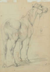 Braith, Anton Biberach a. d. Riß 1836 - 1905, war ein deutscher Tier- …