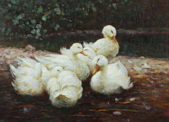 Maler des 20. Jh. ''Entengruppe im Wasser'', 6 weiße Enten in seichtem…