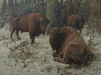 Kohlmann, Hermann Veltheim 1907 - 1982 Dresden, war ein schweizer und …