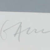 Gaul, Winfred Düsseldorf 1928 - 2002 Düsseldorf-Kaiserswerth, war ein … - photo 2