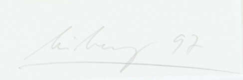 Leiberg, Helge geb. 1954 in Dresden, deutscher Maler, Bildhauer und Pe… - photo 3