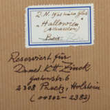 Nägele, Reinhold Murrhardt 1884 - 1972 Stuttgart, Maler und Grafiker, … - фото 4