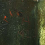 Schaller-Härlin, Käthe Mangalore im Bundesstaat Karnataka (Indien) 187… - фото 3