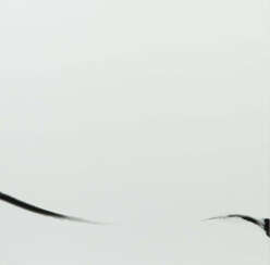 Sommer, Ed eigtl. Edmund, Schwäbisch Gmünd 1932 - 2015 ebenda, deutsch…