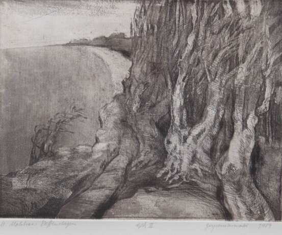 Malchow, Herbert (1942-2015) "Gespensterwald", Radierung, E A II, sign. u.l., bez. und dat, 1989 u.r., 19x23 cm, im Passepartout hinter Glas und Rahmen (H. Malchow war Landschaftsmaler und Grafiker, Studium an … - фото 1 Malchow, Herbert (1942-2015) "Gespensterwald", Radierung, E A II, sign. u.l., bez. und dat, 1989 u.r., 19x23 cm, im Passepartout hinter Glas und Rahmen (H. Malchow war Landschaftsmaler und Grafiker, Studium an … - фото 1