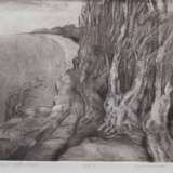 Malchow, Herbert (1942-2015) "Gespensterwald", Radierung, E A II, sign. u.l., bez. und dat, 1989 u.r., 19x23 cm, im Passepartout hinter Glas und Rahmen (H. Malchow war Landschaftsmaler und Grafiker, Studium an … - фото 1