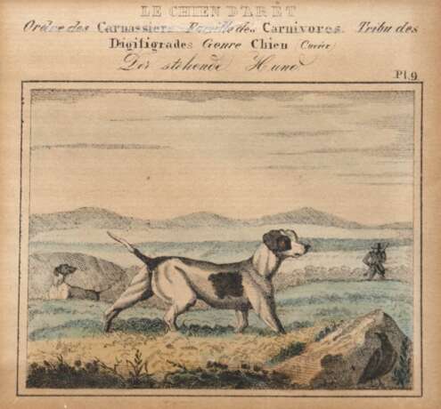 "Le Chien d´Arret-Der stehende Hund", Farbradierung, Pl. 9, 9,5x9,5 cm, im Passepartout hinter Glas und Rahmen - фото 1 "Le Chien d´Arret-Der stehende Hund", Farbradierung, Pl. 9, 9,5x9,5 cm, im Passepartout hinter Glas und Rahmen - фото 1