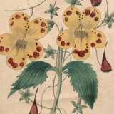 "Gelbe Blume", Grafik, 19,5x12,5 cm, im Passepartout hinter Glas und Rahmen - фото 1