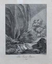 Ridinger, Johann Elias (1698 Ulm- 1767 Augsburg) "Das Stachel Schwein", Stich, 21,5x17,5 cm, im Passepartout hinter Glas und Rahmen