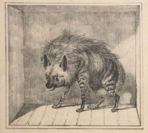 "Streifenhyäne", Grafik, 12,5x14 cm, im Passepartout hinter Glas und Rahmen - photo 1 "Streifenhyäne", Grafik, 12,5x14 cm, im Passepartout hinter Glas und Rahmen - photo 1