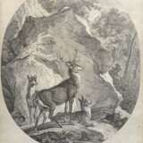 Ridinger, Johann Elias (1698 Ulm- 1767 Augsburg) "Vier Tageszeiten der Hirsche", Kupferstich, Blatt im unteren Bereich etwas wellig, 34,5x28 cm, im Passepartout hinter Glas und Rahmen - photo 1