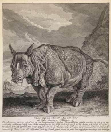 Ridinger, Johann Elias (1698 Ulm- 1767 Augsburg) "Das Nashorn Clara", Kupferstich, 37,5x29,5 cm, im Passepartout hinter Glas und Rahmen - photo 1 Ridinger, Johann Elias (1698 Ulm- 1767 Augsburg) "Das Nashorn Clara", Kupferstich, 37,5x29,5 cm, im Passepartout hinter Glas und Rahmen - photo 1