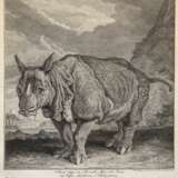 Ridinger, Johann Elias (1698 Ulm- 1767 Augsburg) "Das Nashorn Clara", Kupferstich, 37,5x29,5 cm, im Passepartout hinter Glas und Rahmen - photo 1