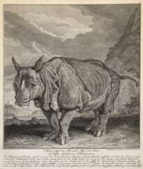 Ridinger, Johann Elias (1698 Ulm- 1767 Augsburg) "Das Nashorn Clara", Kupferstich, 37,5x29,5 cm, im Passepartout hinter Glas und Rahmen