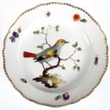 Meissen-Teller, 1850-1924, im Spiegel polychrome Vogelmalerei (z.T. berieben), Fahne mit Floral- und Insektenmalerei, goldener Zierrand etwas berieben, Knaufschwertermarke mit 2 Schleifstrichen, Dm. 18,5 cm - Foto 1