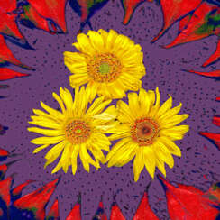 Aus der Serie "Sunflowers"