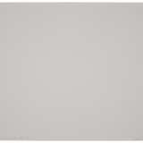 NICHOLAS NIXON (B. 1947) - photo 3