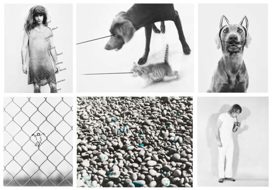 WILLIAM WEGMAN (B. 1942) - Foto 1