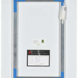 RUUD VAN EMPEL (B. 1958) - photo 2