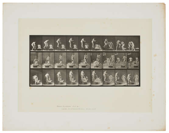 EADWEARD MUYBRIDGE (1830-1904) - photo 2
