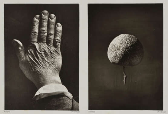 JAMES NASMYTH (1808-1890) & JAMES CARPENTER (ACTIVE 1880s) - photo 5 JAMES NASMYTH (1808-1890) & JAMES CARPENTER (ACTIVE 1880s) - photo 5