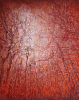 Enchanted forest Enchanted forest