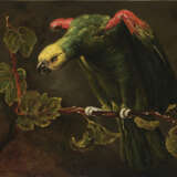 DANS LE GOÛT DE FRANS SNIJDERS - Foto 1