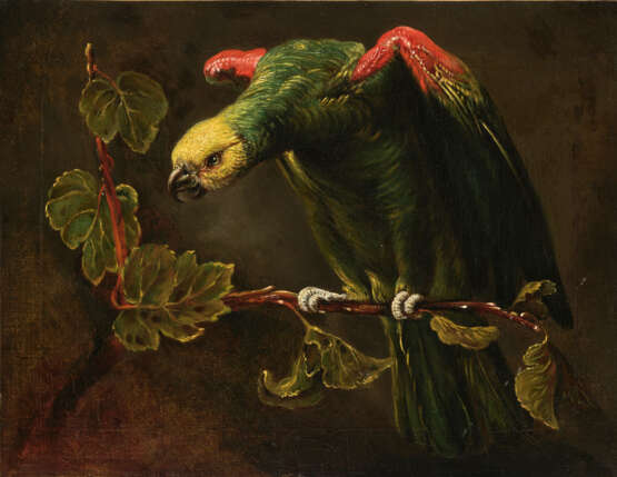 DANS LE GOÛT DE FRANS SNIJDERS - Foto 1 DANS LE GOÛT DE FRANS SNIJDERS - Foto 1