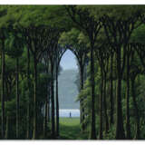 TOM&#193;S S&#193;NCHEZ (b. 1948) - Foto 1