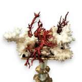 Unique Elephant Statue in Bronze with Coral 20th Century Bronce Other style 20th century - photo 7