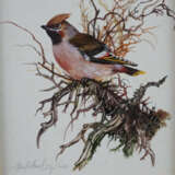 Weidinger, Hubert (*1951 Wien) - Seidenschwanz, 19… - photo 2