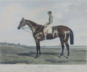 „Nutwith -The Winner of the Great St. Leger Stakes…