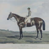 „Nutwith -The Winner of the Great St. Leger Stakes… - фото 1