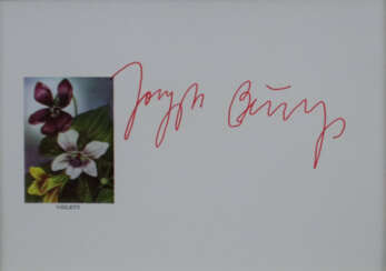 Beuys, Joseph (1921 Krefeld - 1986 Düsseldorf) - "…