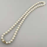 Perlencollier mit Goldverschluss - Zuchtperlenkett… - фото 1