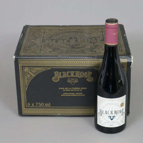 Wein - 6 Flaschen 2019 Blacknose, Vin de la Tierra… - фото 1