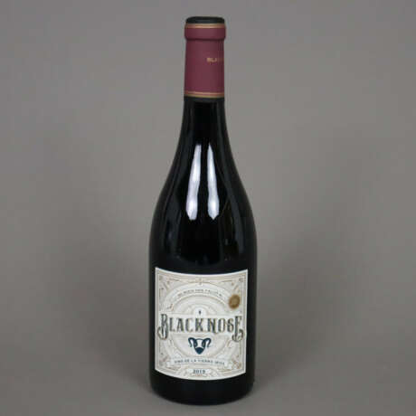 Wein - 6 Flaschen 2019 Blacknose, Vin de la Tierra… - фото 2