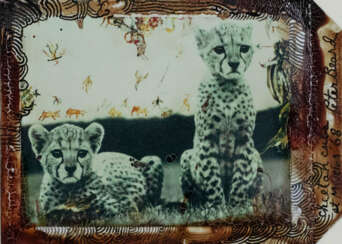 Peter Beard (New York 1938 - 2020)