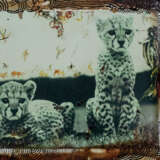 Peter Beard (New York 1938 - 2020) - photo 1