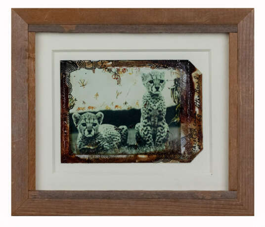 Peter Beard (New York 1938 - 2020) - photo 2 Peter Beard (New York 1938 - 2020) - photo 2